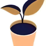 Environnement et société